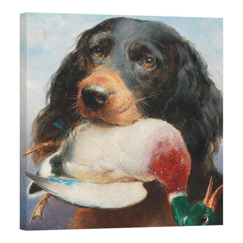 Гордън Сетер с патица